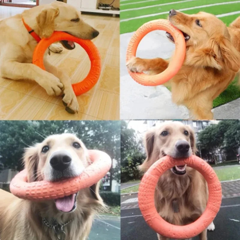 Durable Pet Training Flying Disk and Ring Puller - Ideal for Active Play