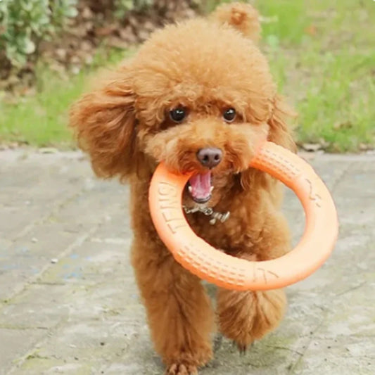 Durable Pet Training Flying Disk and Ring Puller - Ideal for Active Play