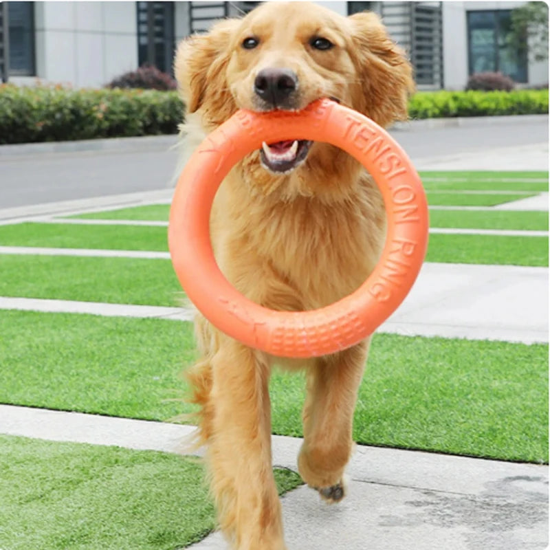 Durable Pet Training Flying Disk and Ring Puller - Ideal for Active Play