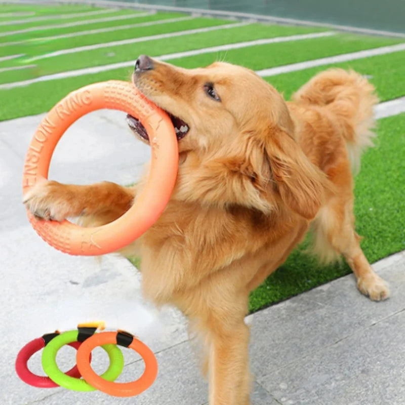 Durable Pet Training Flying Disk and Ring Puller - Ideal for Active Play