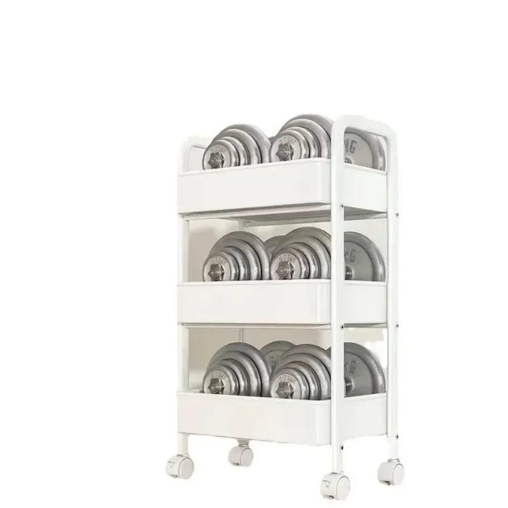 Multi-Layer Trolley Rack Storage